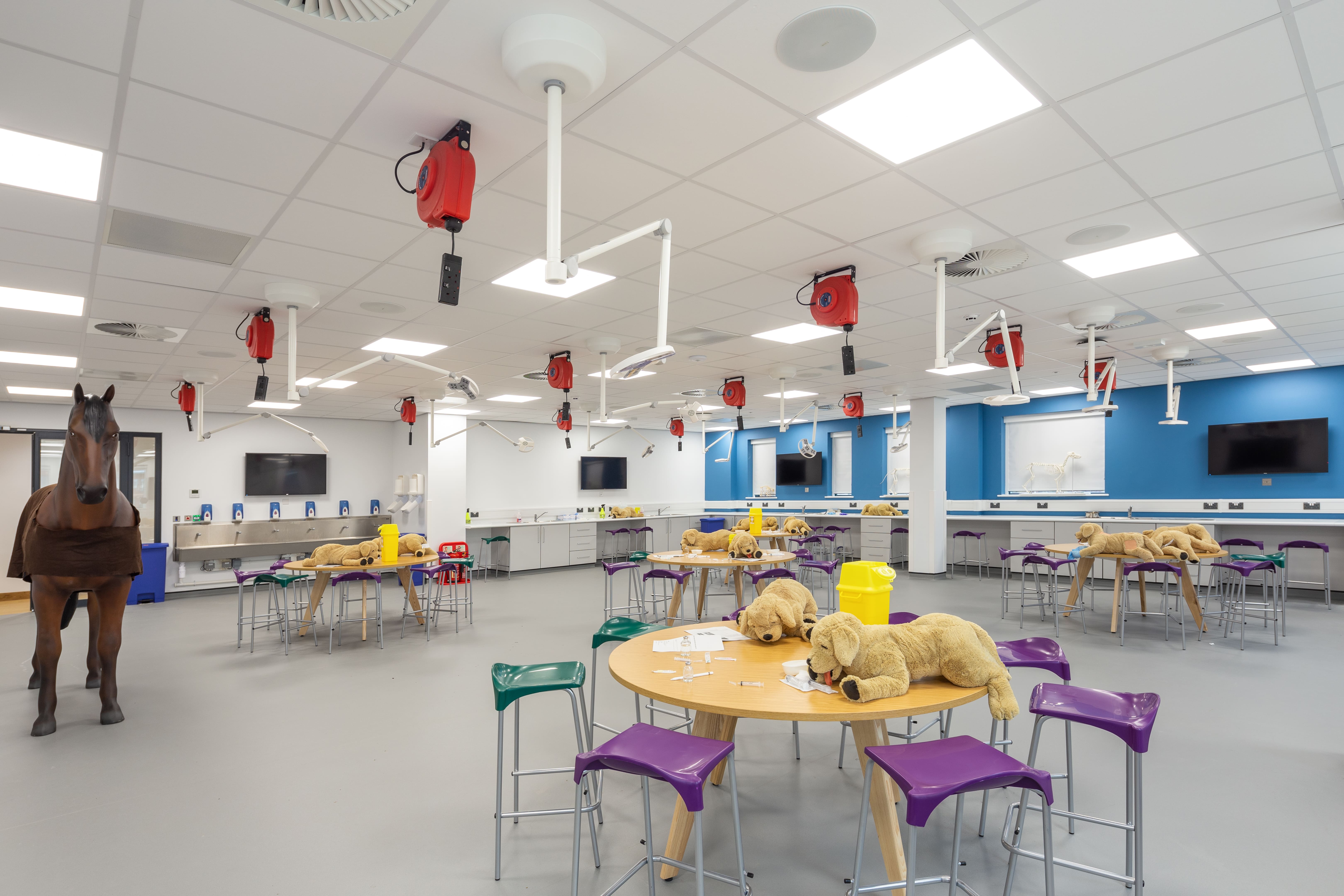 Seddon Construction Vet school students move into stateoftheart